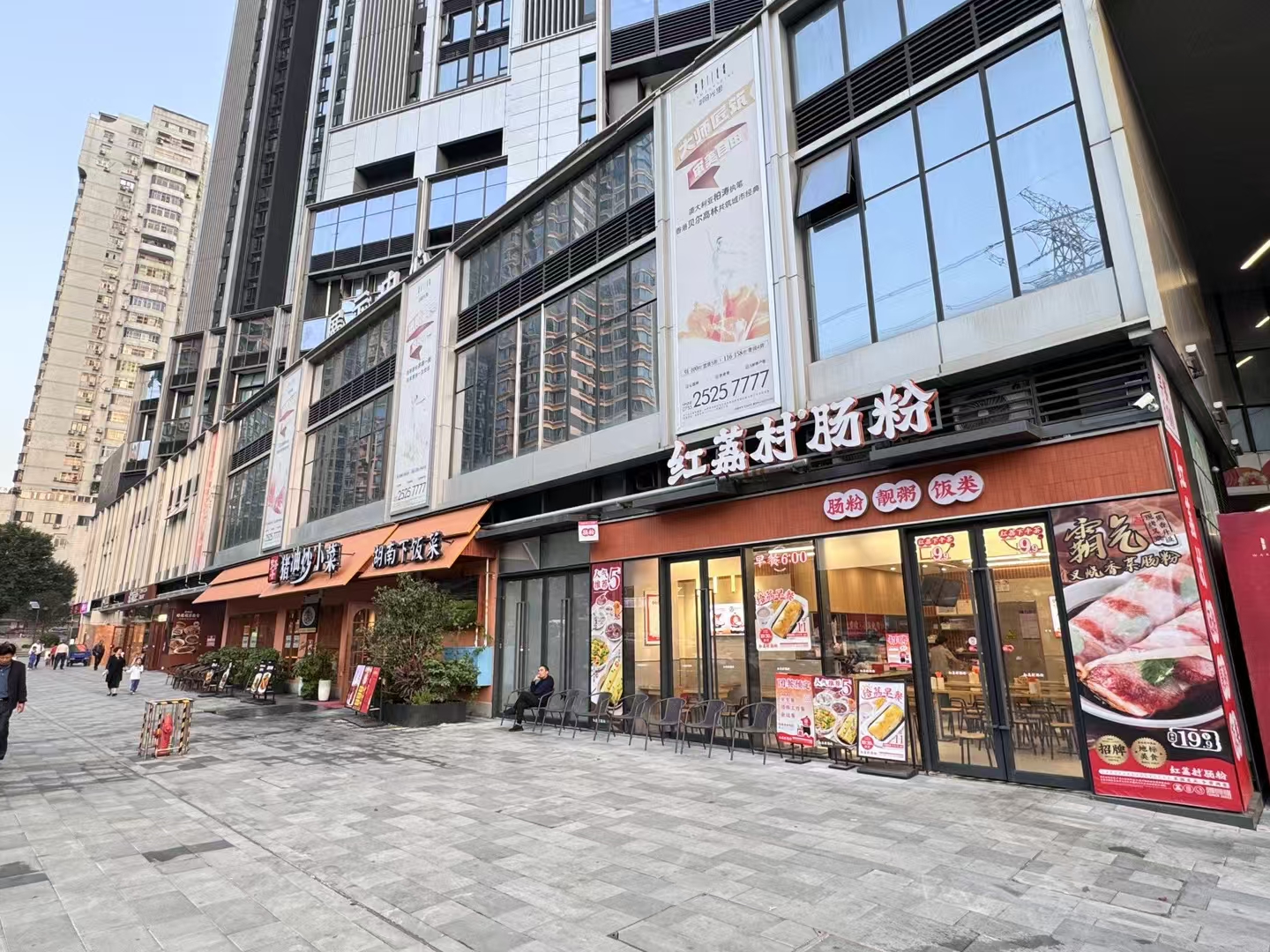 独树阳光里