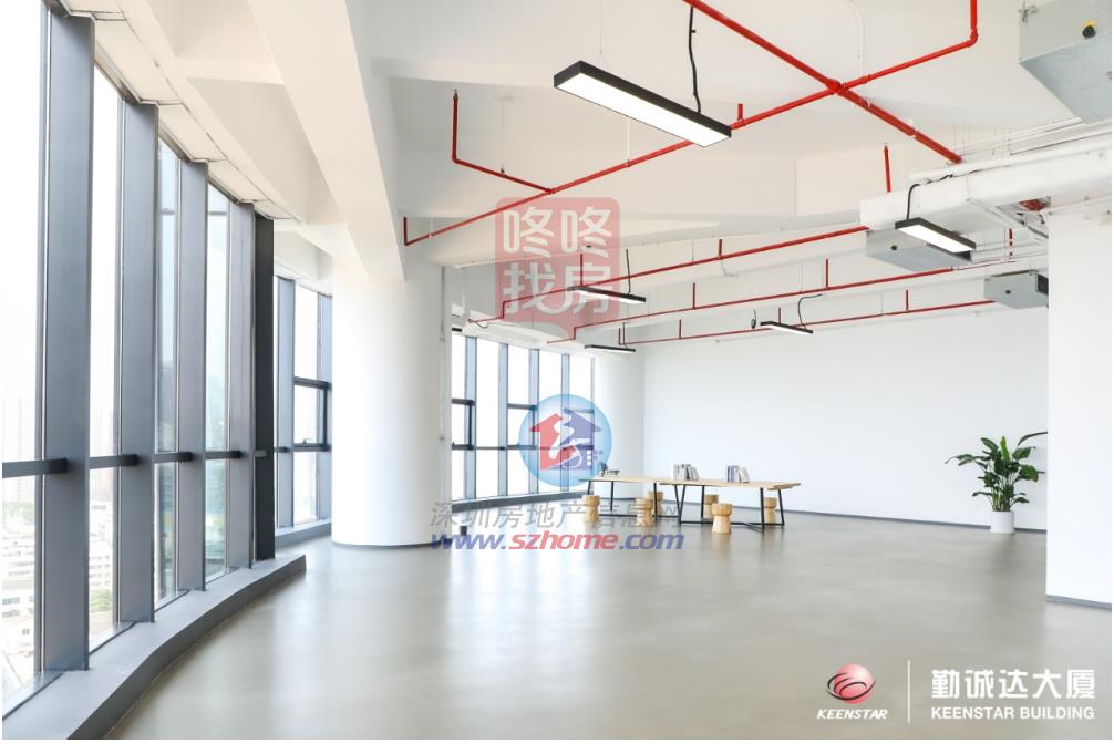 岁宝壹品(图6)