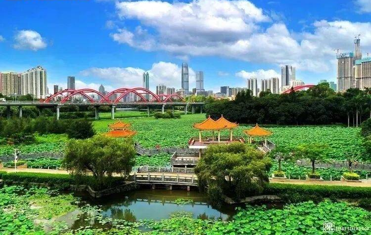 深圳凌云华府首页网站_售楼处|楼盘详情(图8)