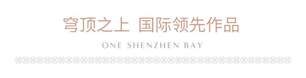 深圳湾1号开发商最后三套房源(图7)