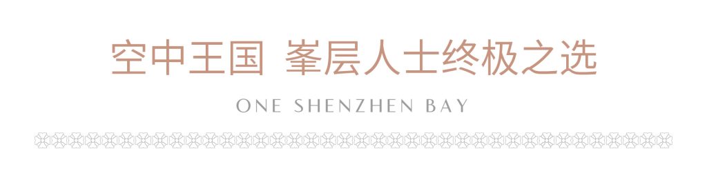 深圳湾1号开发商最后三套房源(图20)