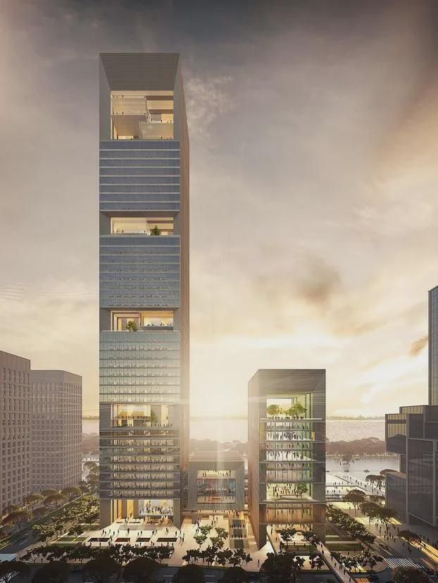 深湾超总片区有哪些总部大厦(图15)