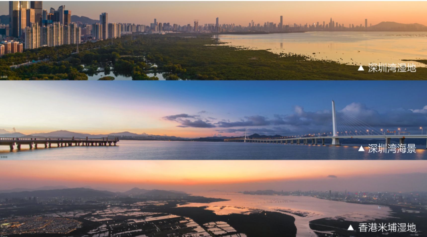 河套壹号-深港科创高地-河套封面写字楼(图14)