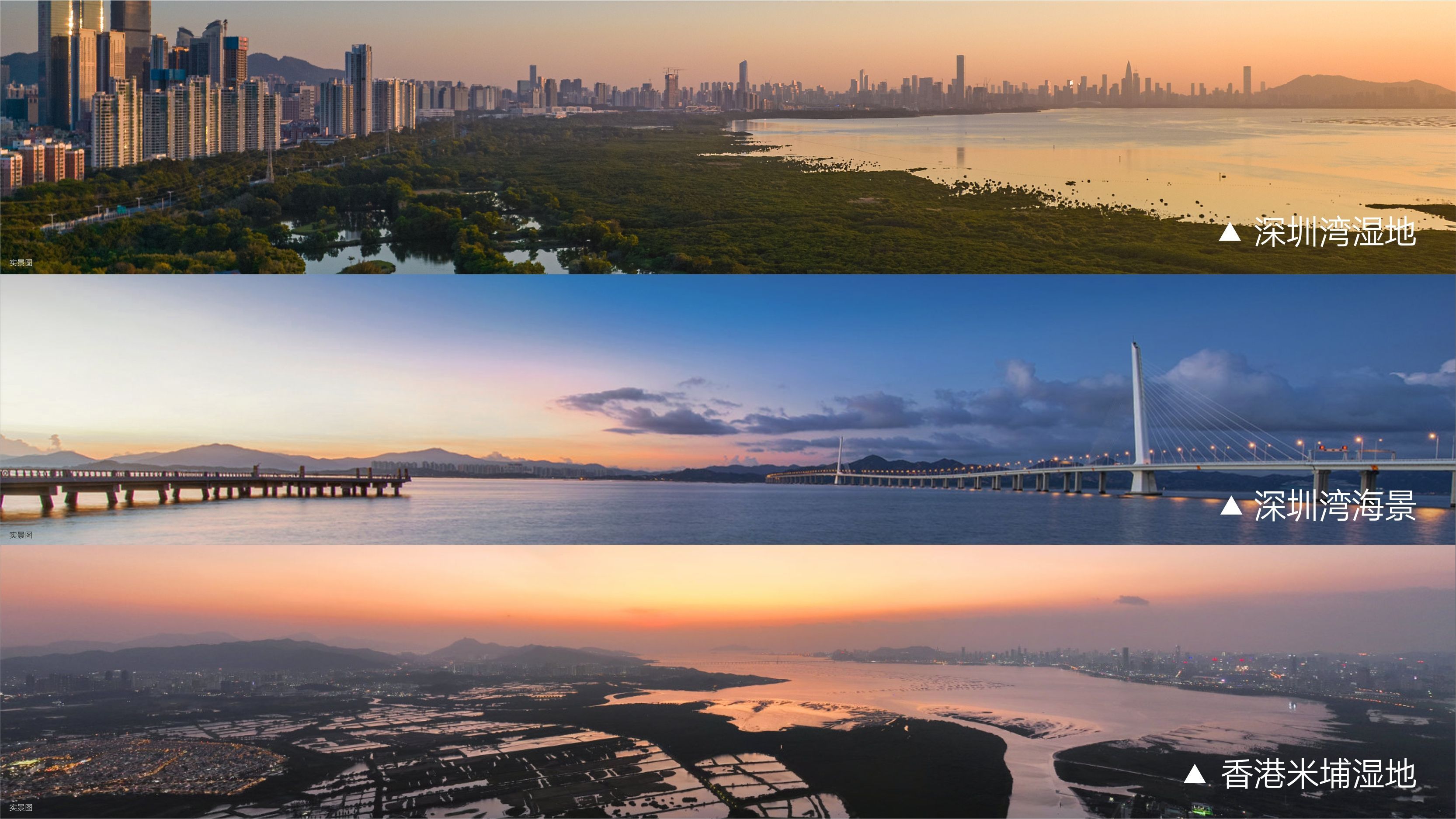 河套壹号-深港科创高地-河套封面写字楼(图19)